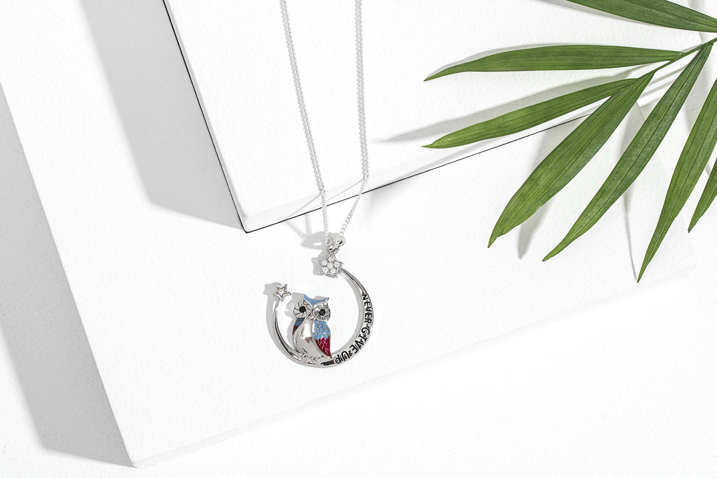 Sterling Silver & Cubic Zirconia 'Never Give Up' Owl Pendant Necklace