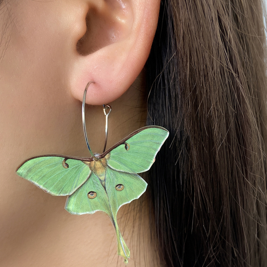 Green Lunar Moth Hooped Earrings